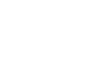 XboxX
